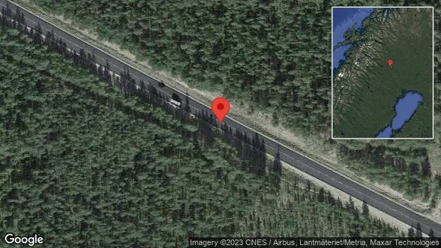 Renar på vägen på E10