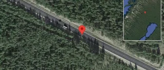 Renar på vägen på E10