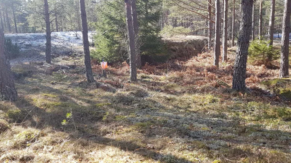 En av kontrollerna på andra etappen i skogarna vid Valinge.