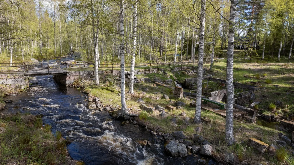 "Pålängeån är, förutom naturen, en kulturhistorisk plats väl värd ett besök" säger Sven Nordlund.