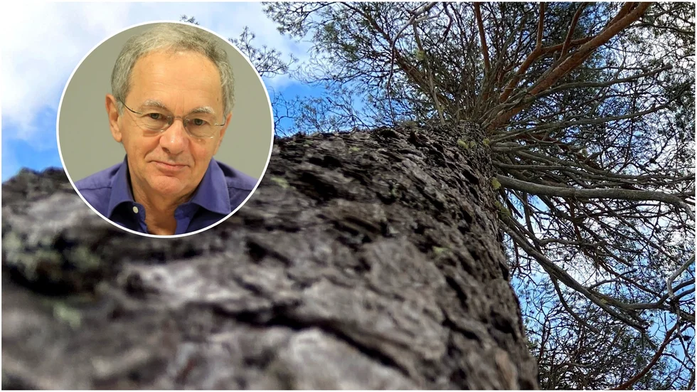 Maciej Zarembas bok "Skogen vi ärvde. En kriminalhistoria" är ytterst viktig och aktuell, trots att det är en nyutgåva av texter som skrevs för tio år sedan, menar recensenten Jan-Olov Nyström
