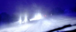 Ön lamslogs i snökaoset