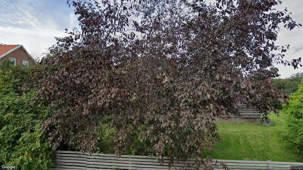Nyckelaxet 8