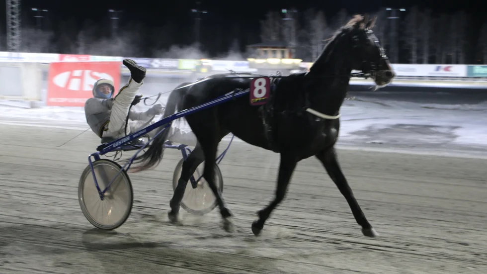 Robin Björck vann V64-4 med 81-oddsaren Laurentius Valiant. Klart att man bjuder på en segergest då.