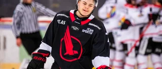 Kalix mörka facit: "Det är bedrövligt"