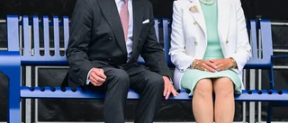 Hallå hela hovet 