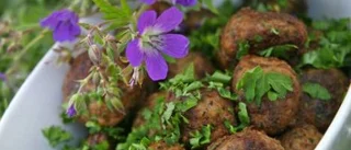 Matjessill - en delikat holländsk historia