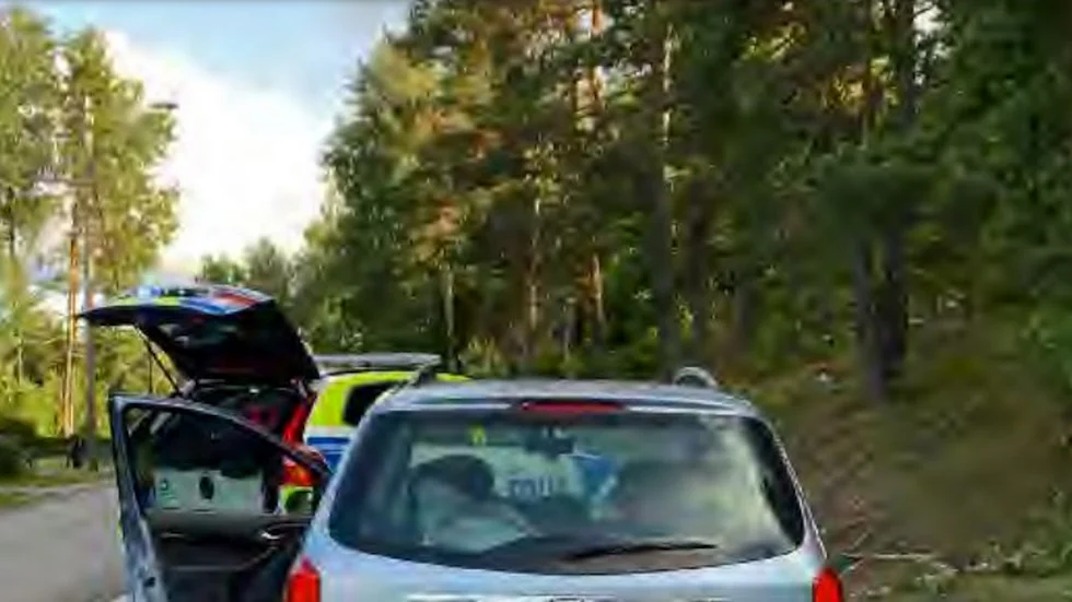 Efter att kört från polisen flydde 22-åringen in i ett skogsparti längs Malmköpingsvägen.