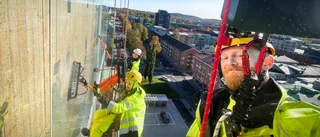 No pane, no gain: Daredevils take window cleaning to new heights