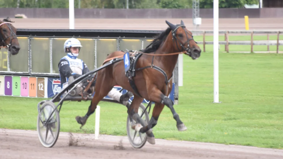 Obesegrad efter tre starter är Nouri di Quattro efter gårdagens triumf på Mantorp Hästsportarena. Det stundar kval till Svenskt Travkriterium den 1 oktober och där finns nog Timo Nurmos lovande treåring med i startlistan. 
