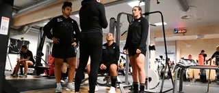 Trion ska ta AIK till nästa nivå: ”Har alla förutsättningar”