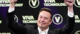Misstänkt glashusbygge åt Musk granskas