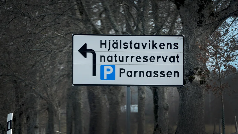 Brottsoffret ska ha lockats till platsen av den 16-åriga flickan. 
