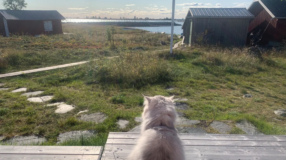 Dagens läsarbild.