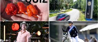 Testa dina kunskaper i vårt månadsquiz