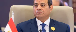 Egyptisk dissident dömd till fängelse