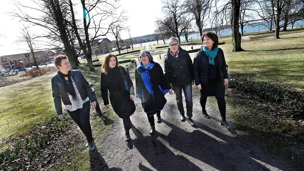 Gruppen som vill sen  en förnyelse av Stadsparken.