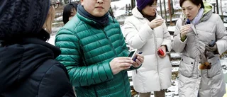 Förskolans utemiljöer inspirerar japaner