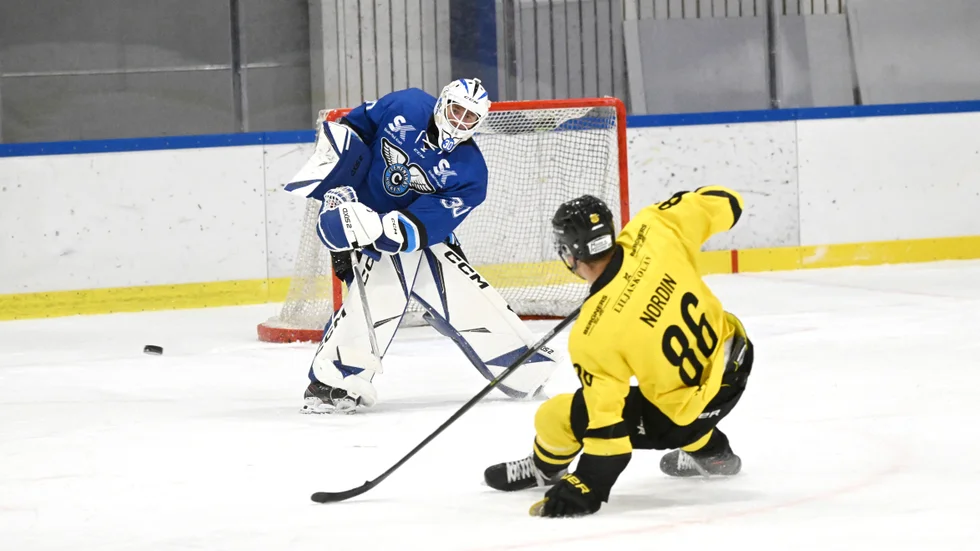 Clemensnäs HC:s målvakt William Wikström stod för en stark insats borta mot Örnsköldsviks HF på söndagen.