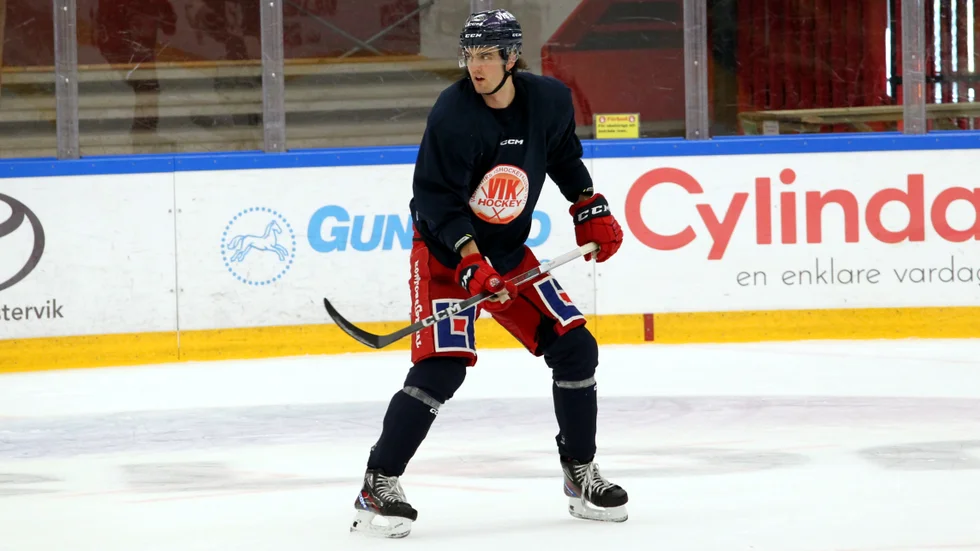 Arvid Henrikson är enligt sajten EliteProspects.com 196 centimeter lång och med det längst i årets VIK-lag.