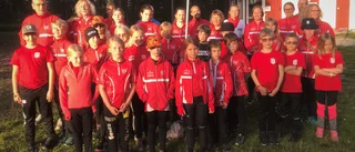 Solig avslutning efter rolig säsong i skog och mark