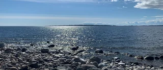Dagens läsarbild: Olsvensakallen