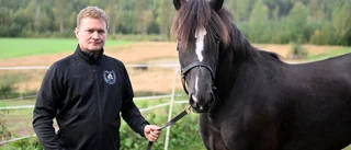 Trippel i storsegrar för Skellefteåhästar på Umåker