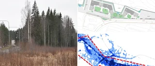 Många kritiska mot byggandet på Sjungande Dalen