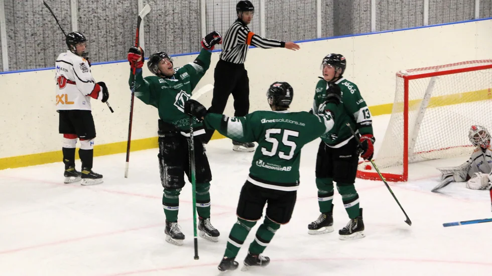 Rosvik besegrade Boden  med 6-2 i tisdagens match i hockeytvåan. Här jublar hemmalaget efter Samuel Sandströms 5-2-mål.