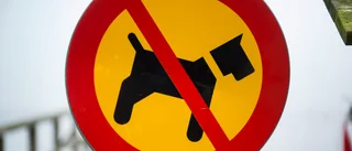 Flera hundattacker i Nyköping – polis utreder samband