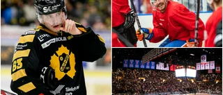 Slet i sju år – tills drömmen slog in: "Glad som inte åkte hem"