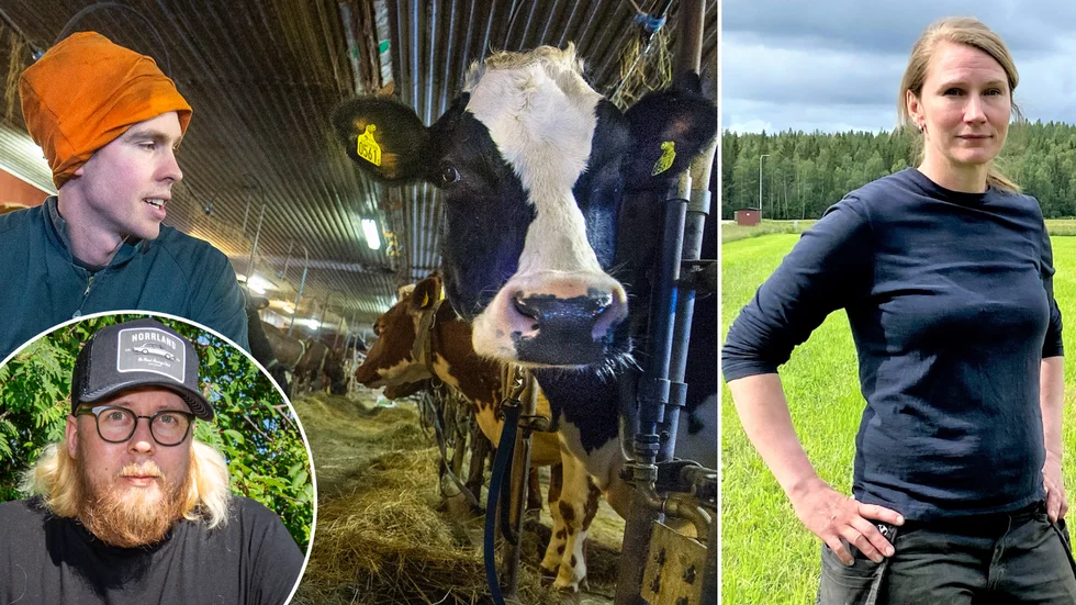 Massiv proteststorm mot Norrmejeriers nedläggning i Luleå. Populäre influeraren Pontus Johansson är en av många som är kritiska men mjölkbönderna Johan Liljebäck och Linnea Larsson försvarar sig. "Detta görs för skapa bättre lönsamhet och bättre pris till bönderna, så att vi kan finnas kvar", säger styrelseledamot Linnea Larsson. 