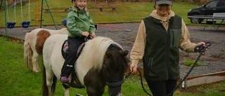 BILDEXTRA: Cirkus, marknad och ponnyridning i Borkhult