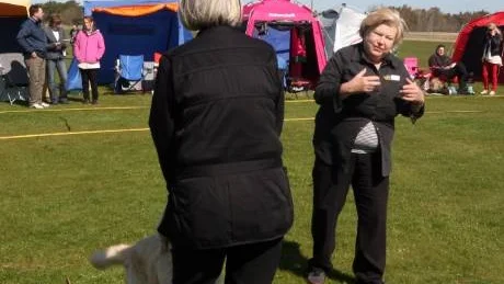 Säker. Agneta Cardell har efter 40 år fått en säker blick att bedöma kroppsform och rörelse.
