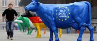 Bönder protesterar över hela Europa