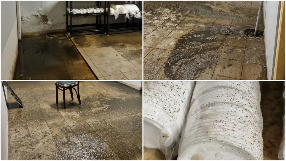  Avloppsvatten med avföring och toalettpapper läckte ut i restaurangens källare när det blev stopp i avloppet. I rummet där engångsmaterial förvaras var det mögel på hyllor och tydliga spår av att avloppsvatten hade sprutat upp på hyllorna. 