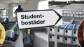 Northvolt collapse sparks new student housing idea in Skellefteå