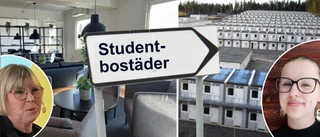 Northvolt collapse sparks new student housing idea in Skellefteå