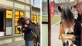 Han ska köra Vätternrundan – på en häst och med tre rottweilers