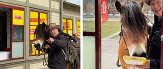 Han ska köra Vätternrundan – på en häst och med tre rottweilers