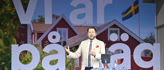 Snabba lagar kan vara farligt, Åkesson