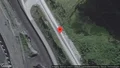 Älg innanför viltstängslet på E10