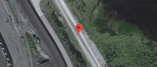 Älg innanför viltstängslet på E10