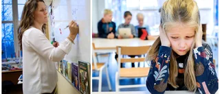 Läraren i Linköping: "Jag har fått nog – behandlas som skräp"