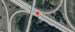 Rådjur på fel sida av viltstängslet på E18