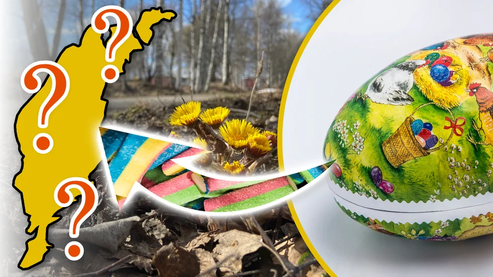 Redaktionen gömde tio påskägg runt om på Gotland.