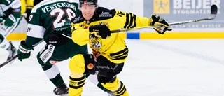 SILLY SEASON: VH-centern har bestämt sig – stannar i Sverige