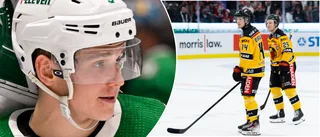 NHL-backens hälsning till Luleå Hockey: "Jag har full tro på dem"