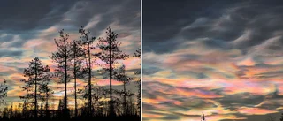 Pärlemormolnens mystik: Därför ser vi dem just nu