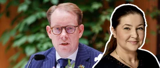 Billströms förklaring låter som ett skämt 